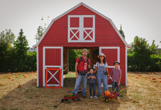 PUMPKIN PATCH CON I BAMBINI:         VIAGGIO ALLA SCOPERTA DEL PRIMO GIARDINO DELLE ZUCCHE IN ITALIA