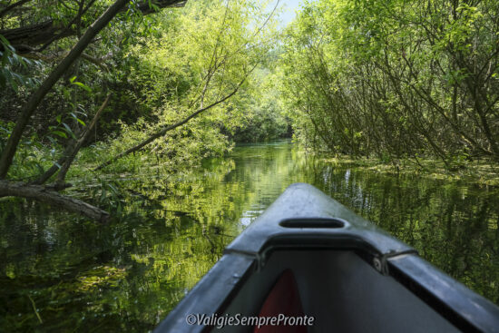 IN CANOA CON I BAMBINI SUL TIRINO, IL FIUME PIU’ LIMPIDO D’ITALIA